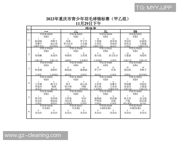 赛后分析：杭州羽毛球队与重庆羽毛球队的战术对决与启示
