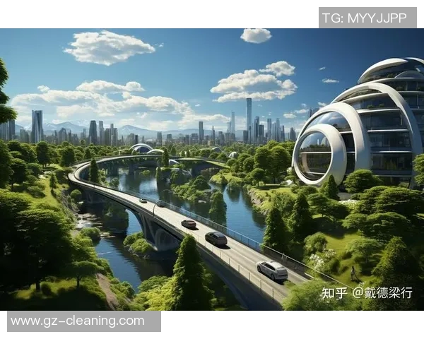 北京羽毛球队转型之路的挑战与机遇全景解析