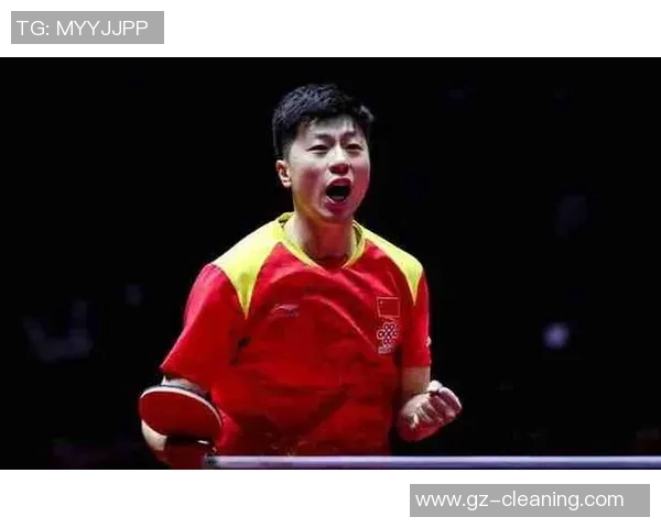 南京乒乓球队在世界锦标赛中的个人能力表现全面分析与点评