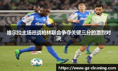 im电竞