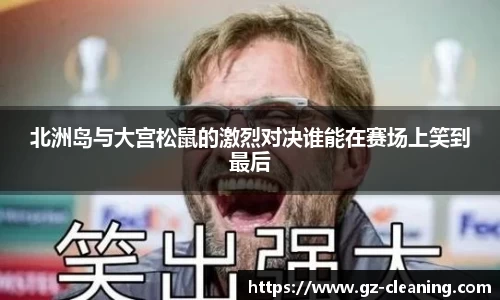 im电竞