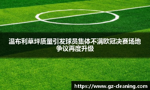 im电竞官网